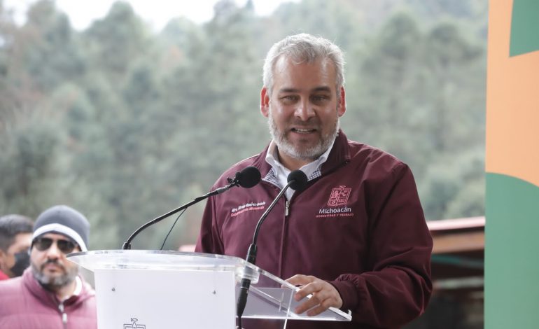 Bedolla celebra aumento de 99% de ocupación de la Monarca en bosques de Michoacán y México.