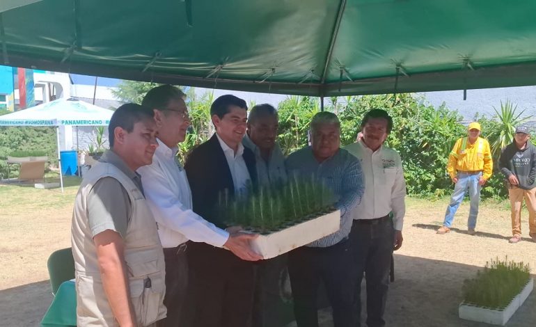 Toño Ixtlahuac apuesta por la educación ambiental con viveros forestales escolares