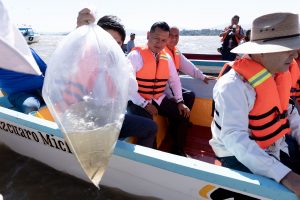 Siembra Gobierno de Michoacán 20 mil peces en el lago de Pátzcuaro.<br>