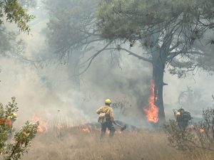 Incendio devora 5 hectáreas por imprudencia humana en el Libramiento Norte.