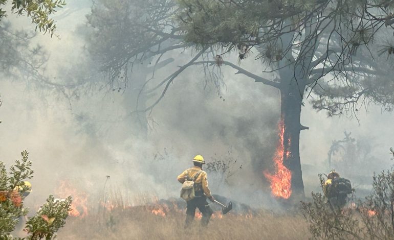 Incendio devora 5 hectáreas por imprudencia humana en el Libramiento Norte.