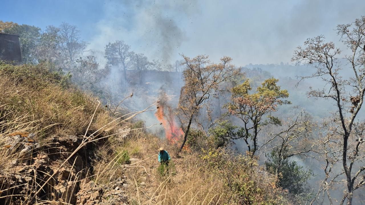 Controlado el incendio forestal en Jesús del Monte: Cofom.