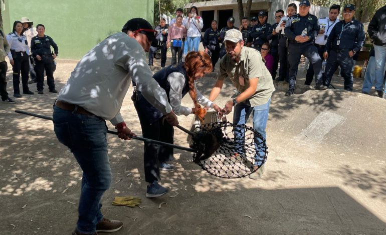 Personal de Zoológico de Morelia se capacita en rescate animal