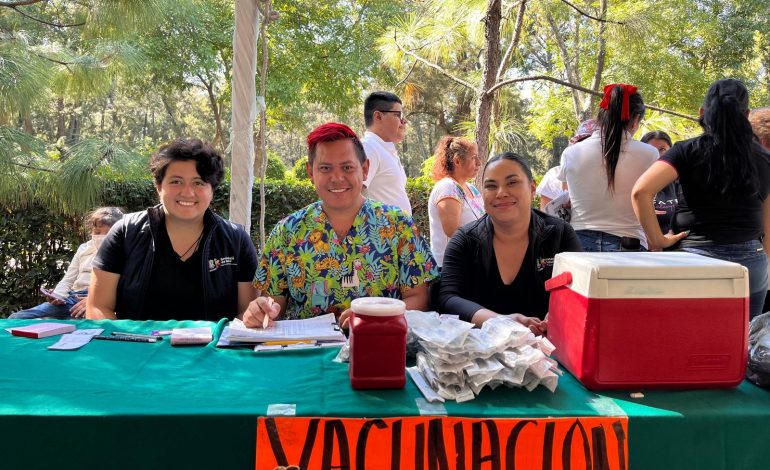 Adopta un perrito o un gato en la Feria de Adopción de Hermano Animal en Ceconexpo este domingo