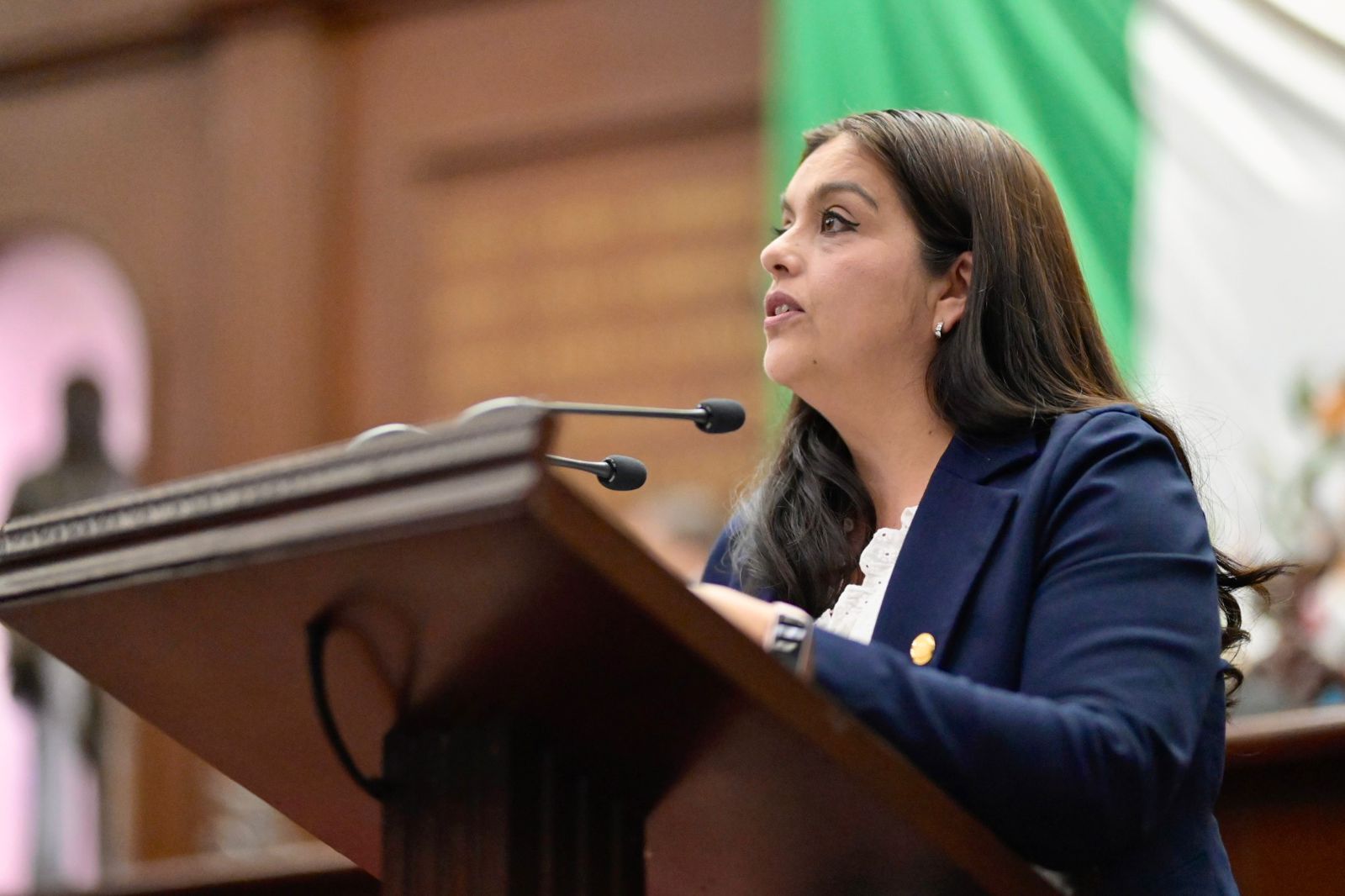 Necesario apoyar a madres trabajadoras  del Congreso: diputada Tere Herrera