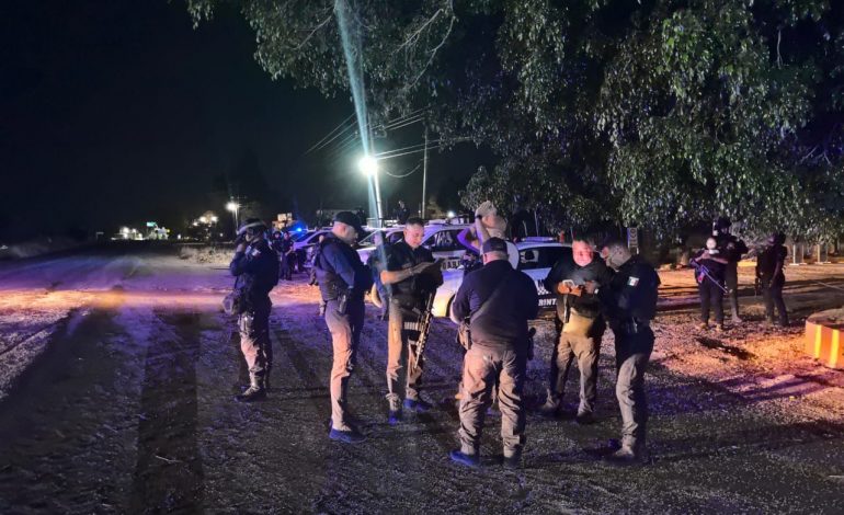 Dos detenidos y armamento asegurado tras acción interinstitucional en Churintzio.
