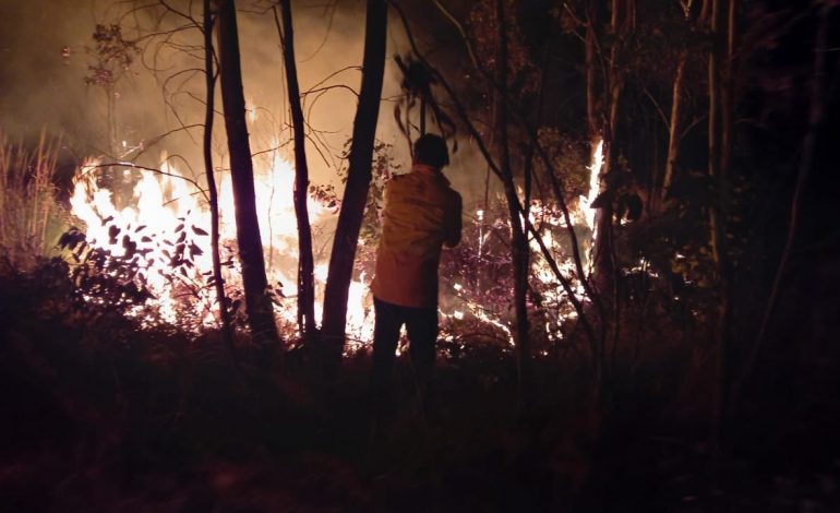 Atiende de manera inmediata Comisión Forestal incendio en Loma de Santa María.