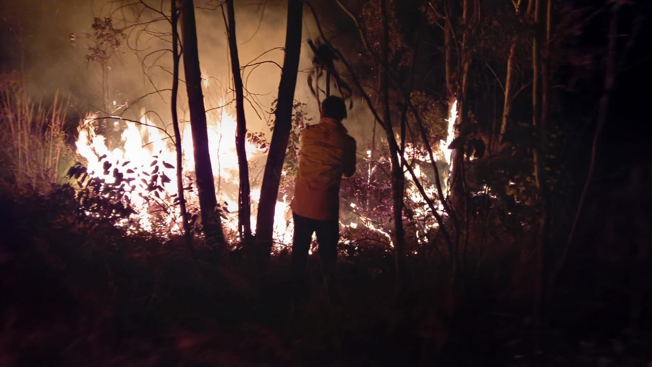 Atiende de manera inmediata Comisión Forestal incendio en Loma de Santa María.