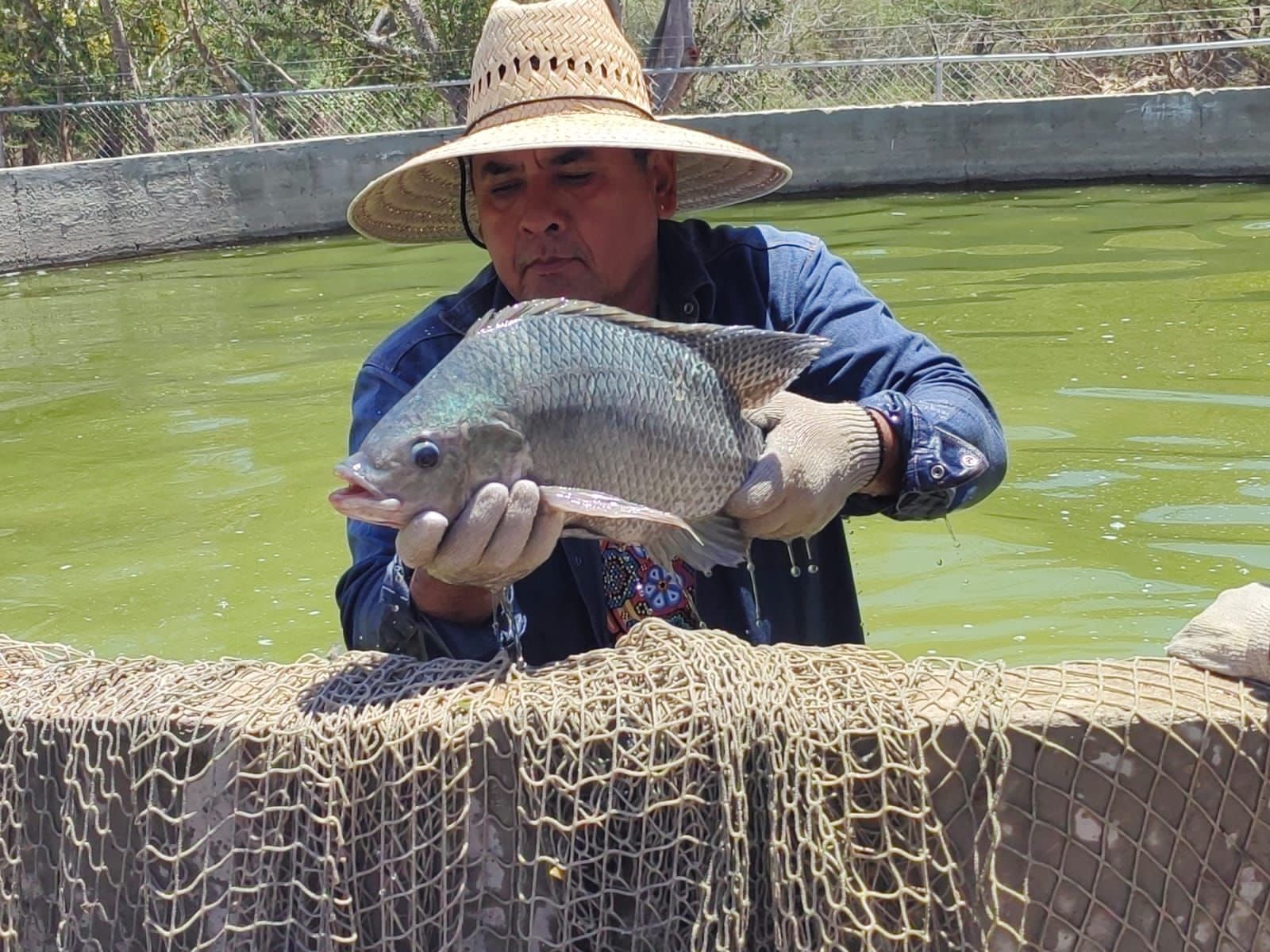 Michoacán produjo 40 mil toneladas de pescados y mariscos durante Cuaresma.