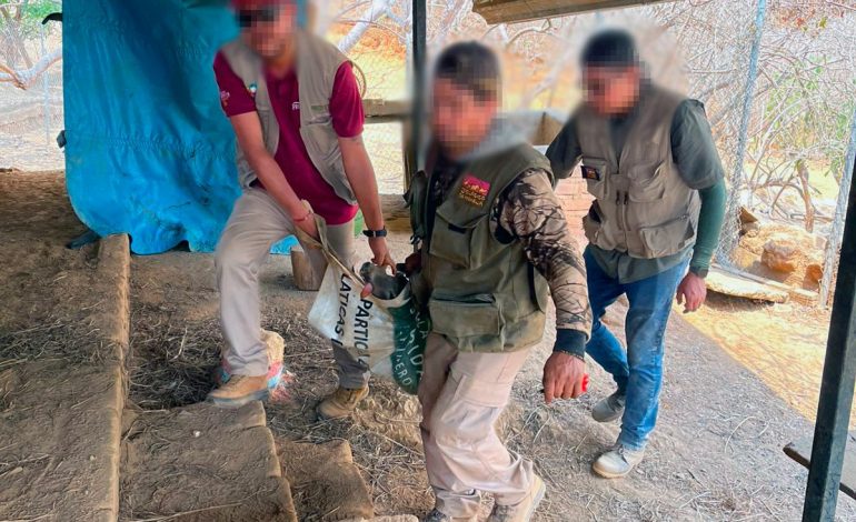 Apoya Zoológico de Morelia con traslado y resguardo de venados decomisados