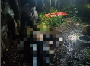 Trágico Derrape de Motocicleta Cobra Vida de Joven en Zitácuaro