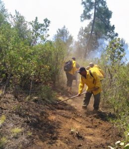 Liquidados 3 incendios en Aguililla, Lagunillas y Pátzcuaro: Cofom