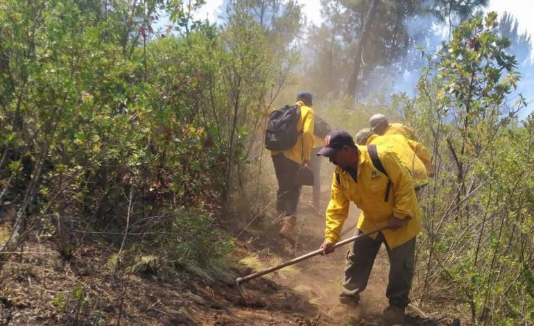 Liquidados 3 incendios en Aguililla, Lagunillas y Pátzcuaro: Cofom