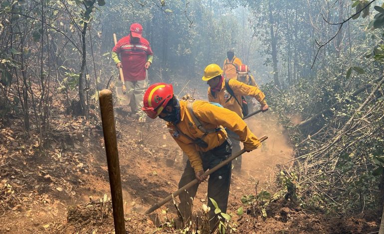 Brigadas liquidan 6 incendios forestales: Cofom