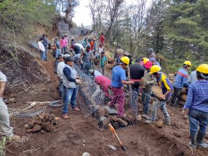 Agrosano refuerza conservación del lago de Pátzcuaro y sus manantiales: Sader