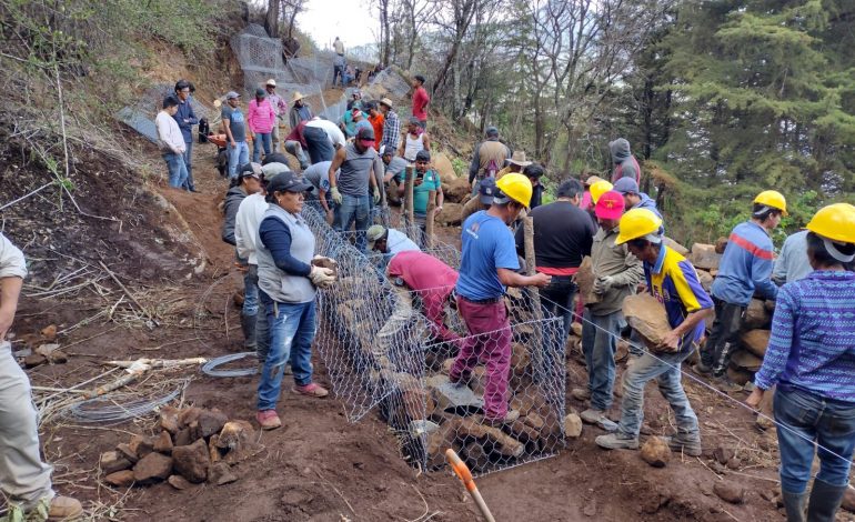 Agrosano refuerza conservación del lago de Pátzcuaro y sus manantiales: Sader