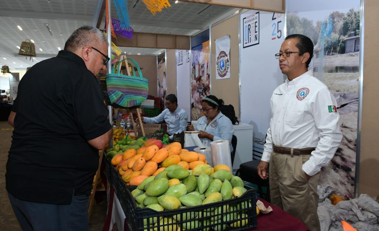 Frutas, verduras y alimentos frescos a precios accesibles en Festival Michoacán de Origen