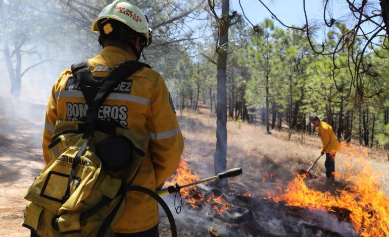 Brigadistas combaten incendios forestales activos en Michoacán: Cofom