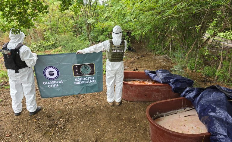 Asegurados 400 kg de metanfetamina en Buenavista: SSP