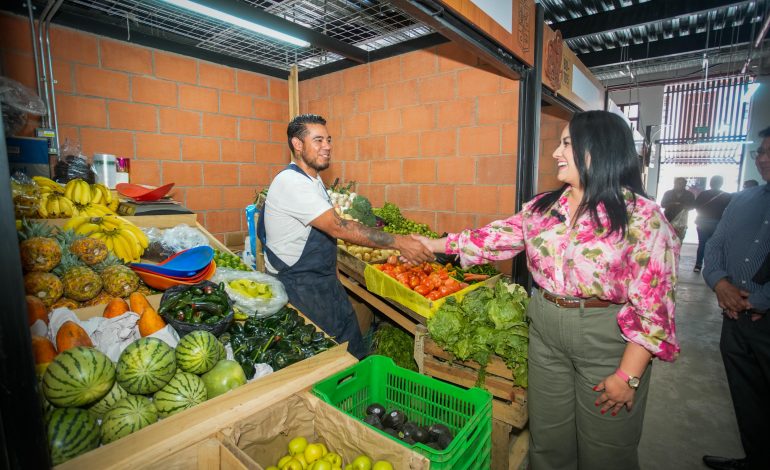 Modificaciones en locales del Mercado de Pátzcuaro no afectan estructura: Gladyz Butanda