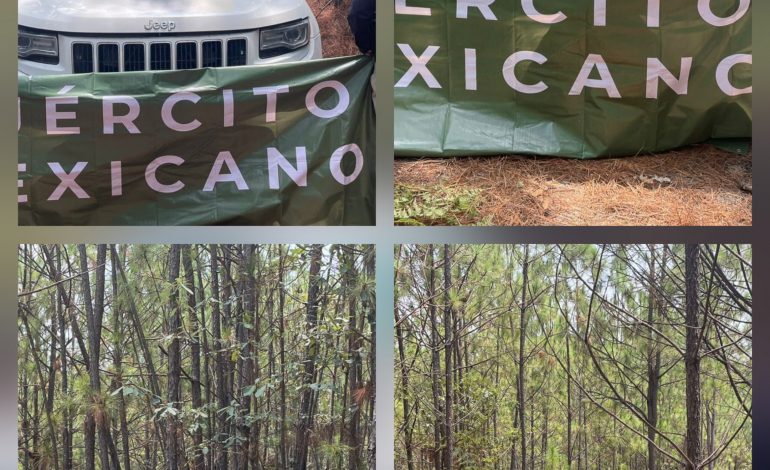 Cuatro vehículos de la delincuencia organizada asegurados en Tuzantla.