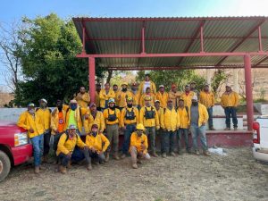 Brigadas forestales apagan 7 incendios: Cofom
