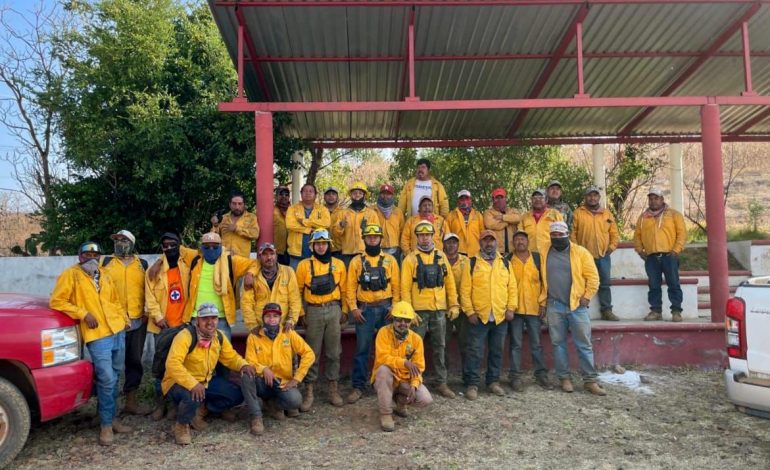 Brigadas forestales apagan 7 incendios: Cofom