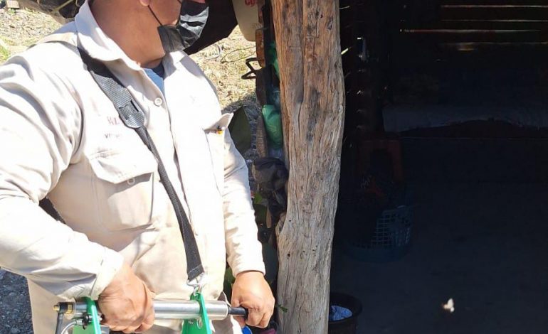 Sin tregua la contención y combate contra el dengue: SSM