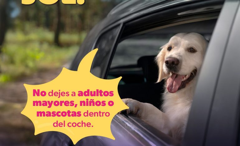 En temporada de calor, no dejes solos a niños, adultos mayores o animales dentro de vehículos: SSM