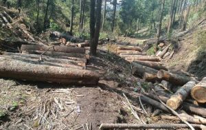 INTEGRA FGR INVESTIGACIÓN POR UN DELITO CONTRA EL MEDIO AMBIENTE EN ZIRACUARETIRO, MICHOACÁN