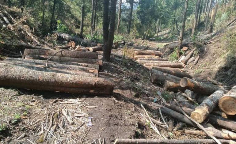 INTEGRA FGR INVESTIGACIÓN POR UN DELITO CONTRA EL MEDIO AMBIENTE EN ZIRACUARETIRO, MICHOACÁN