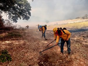 Cofom liquida incendios en 10 municipios en las últimas horas