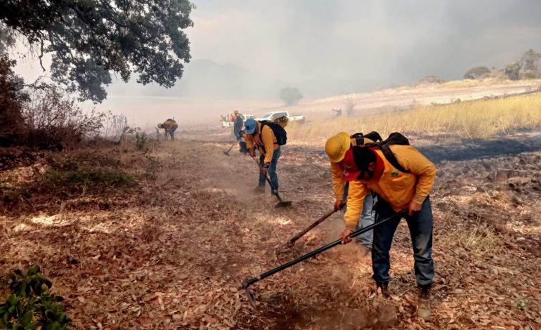 Brigadas forestales apagan 3 incendios en Hidalgo y Ocampo: Cofom