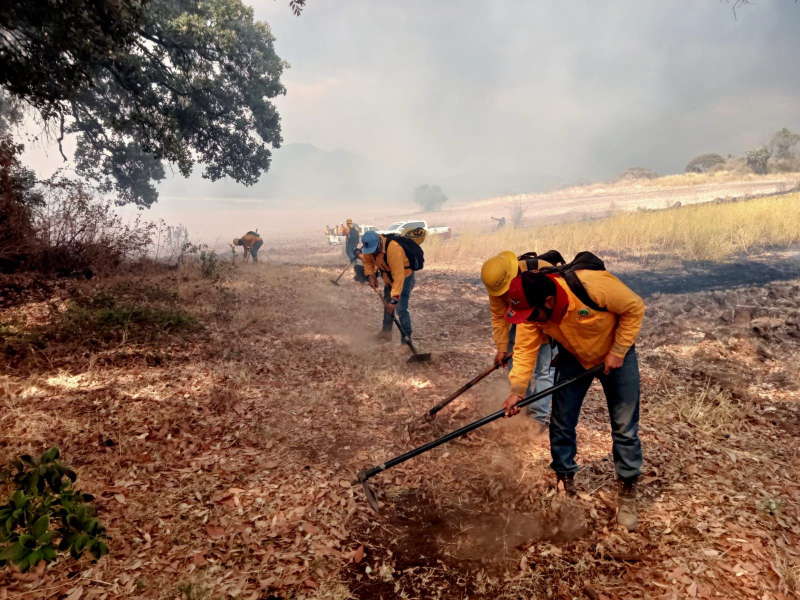 Cofom liquida incendios en 10 municipios en las últimas horas