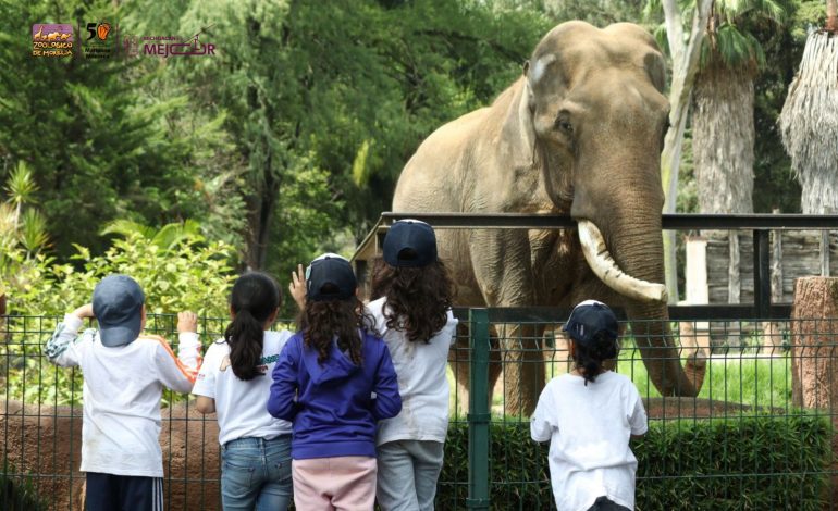 Zoológico de Morelia te espera el viernes 30 de mayo para un día en el aula viva