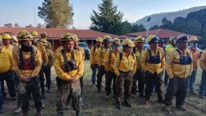 Brigadas atienden 3 incendios en Cotija, Maravatío y Tuxpan: Cofom