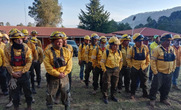 Brigadas atienden 3 incendios en Cotija, Maravatío y Tuxpan: Cofom
