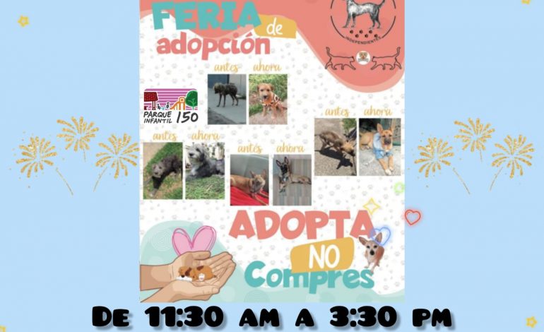 Rescatistas Independientes invitan a adopción de peluditos con entrenamiento… y a bailar en el Perro Cumbión