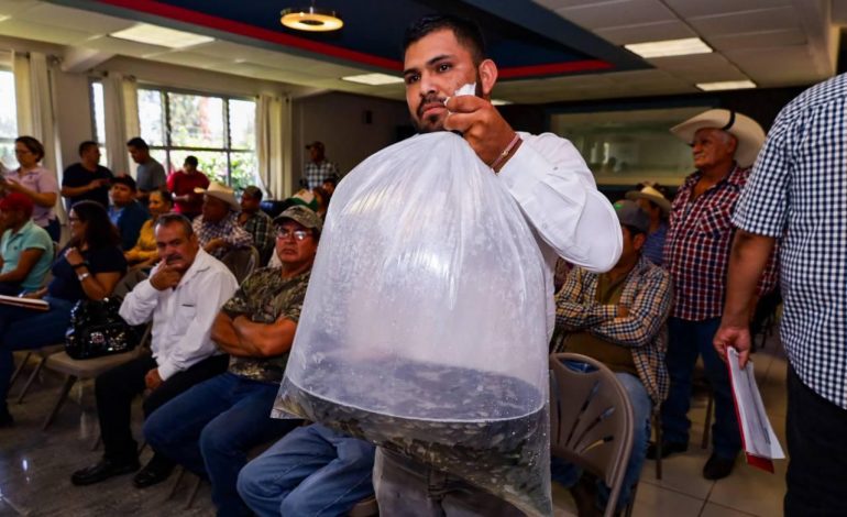Entrega Compesca 52 mil crías de tilapia a productores de Uruapan