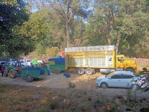 SSP y Defensa detienen a 14 presuntos implicados en robo de 160 cajas de aguacate.