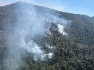 Atendido incendio forestal en zona del bosque de la Mariposa Monarca: Cofom.<br>