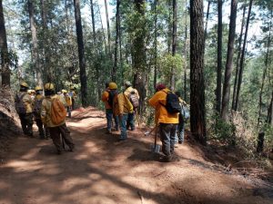 Incendio en Senguio, liquidado al 50 %: Cofom.
