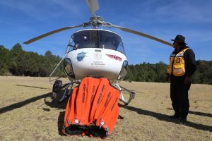 Controlado al 95 % el incendio en el Santuario de la Monarca en Senguio, Michoacán: Cofom<br>