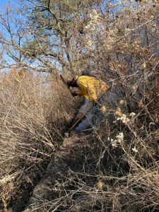 Reavivado el Incendio en el Cerro de Santiago Apóstol: Brigadas de COFOM Preparadas para Actuar<br>