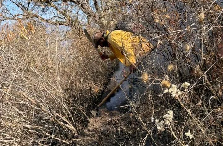 Reavivado el Incendio en el Cerro de Santiago Apóstol: Brigadas de COFOM Preparadas para Actuar