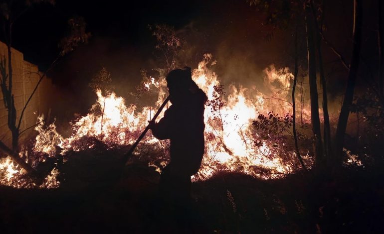 Brigadas ya se encuentran en combate de incendio en Tuxpan: Cofom.