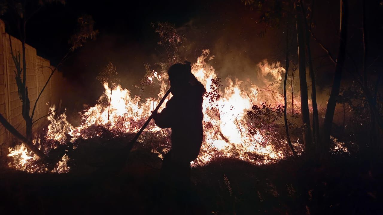 Brigadas ya se encuentran en combate de incendio en Tuxpan: Cofom.
