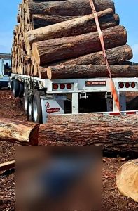 Tragedia en Maravatío: Hombre Muere Aplastado por Troncos de Madera