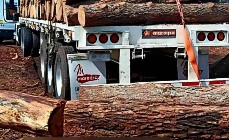 Tragedia en Maravatío: Hombre Muere Aplastado por Troncos de Madera