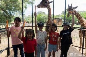 Zoológico de Morelia invita este viernes a un Día en el Aula Viva